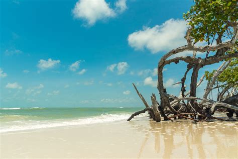 Little Hickory Island Park | Visit Fort Myers | Beaches in SW FL