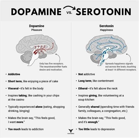 Difference Between Dopamine And Serotonin
