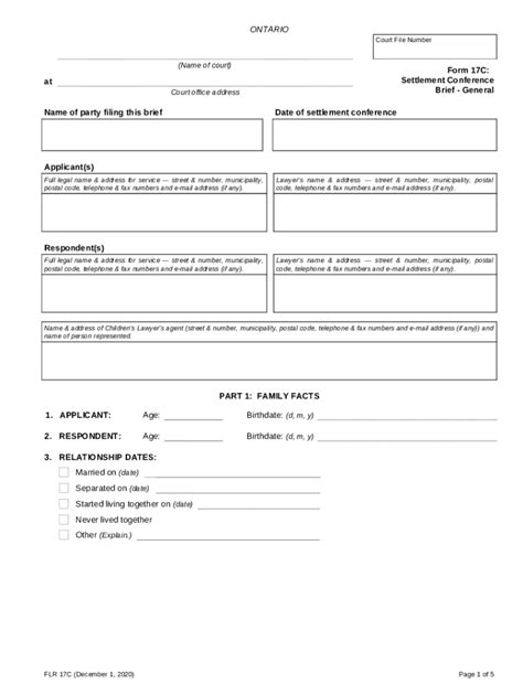 Ontario Form 17C Settlement Conference Brief - Blank Fillable Template ...