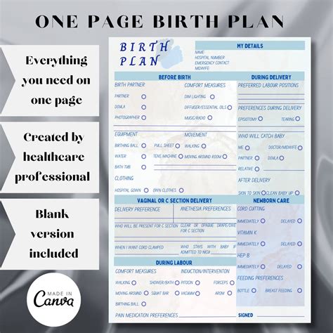 Printable Birthing Plan, Editable Birth Plan Template, Labour and Delivery Preferences Template ...