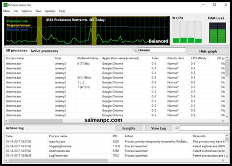 Image result for Process Lasso Pro Activation Code
