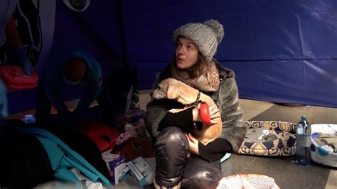 Câinii cunoscători de ucraineană, vaccin gratuit în România. Restart la ...