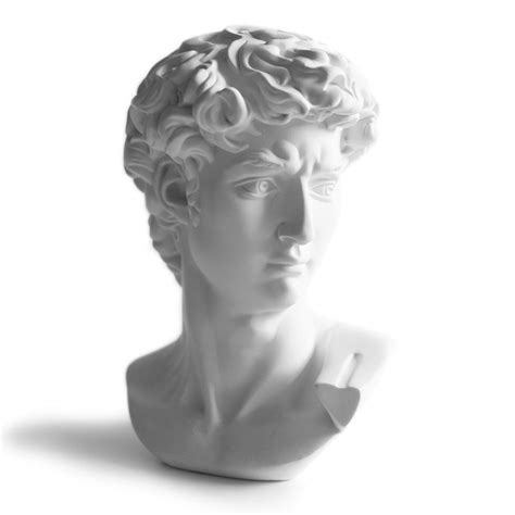 Buy SCMAIGU 6” David Bust Greek Statue Michelangelo Head Sculpture ...
