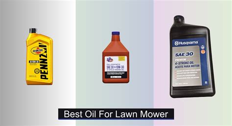 6 Best Dethatcher Blades for Lawn Mowers (2026 Guide)
