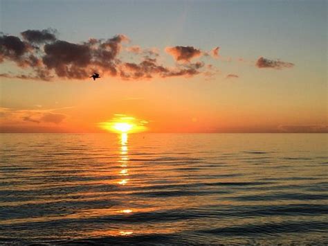 GULLWING BEACH RESORT (Fort Myers Beach) - Hotel Reviews, Photos, Rate ...