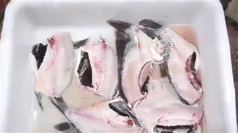 Automatic Fish Fillet Machine 的图像结果