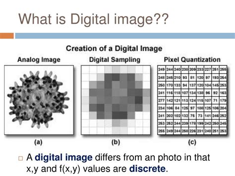 Image result for Sorting and Searching Algorithms in Java