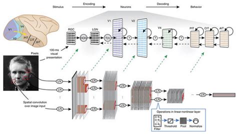CNN.com - AI set to exceed human brain power - Jul 25, 2006