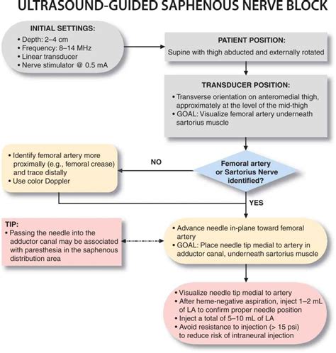 Ultrasound-Guided Saphenous Nerve Block | Anesthesia Key