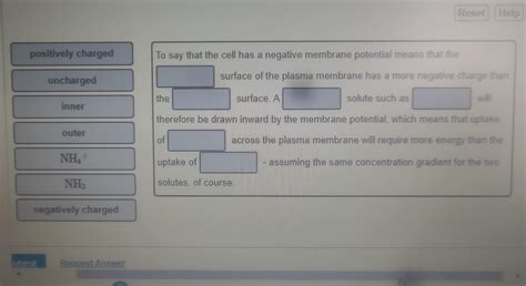 Image result for Negative Membrane Potential
