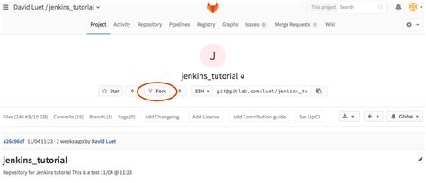How to Use GitLab and GitLab Bash 的图像结果