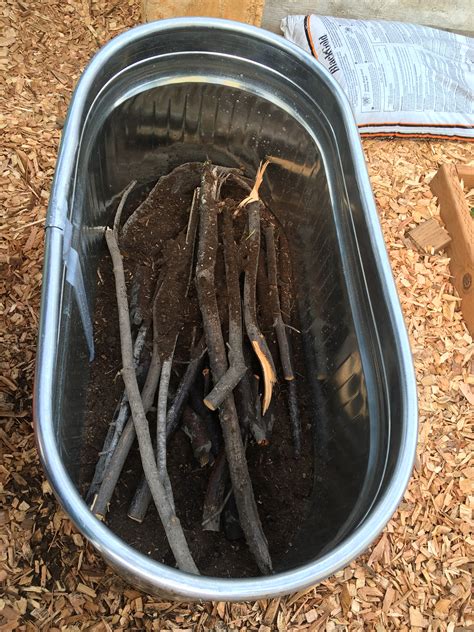 Galvanized Water Trough Planters • Insteading