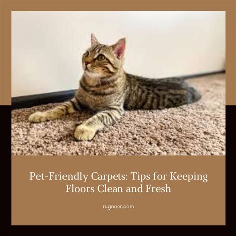 Pet-Friendly Carpet Care: Keep Your Home Clean and Cozy – rugnoor.com