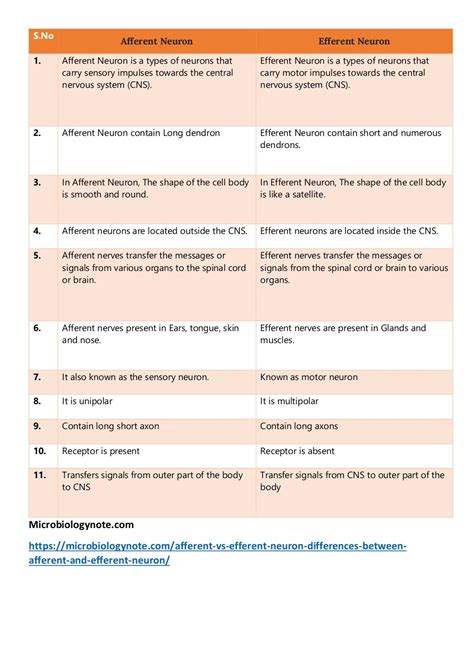 Differences between Afferent and Efferent Neuron | PDF