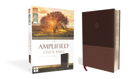 Amplified Study Bible