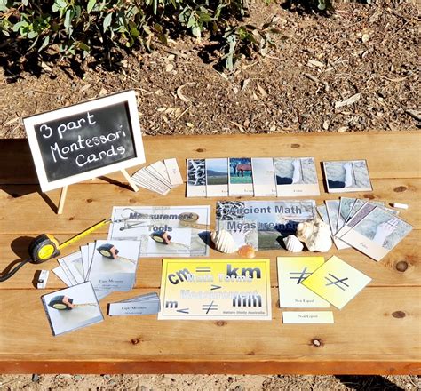 Math in Nature: Measurement