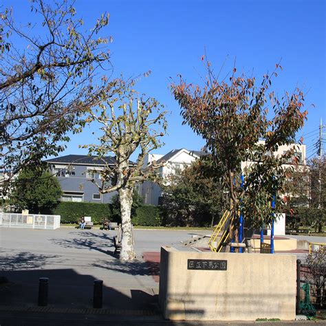 KURITSU SHIMOUMA PARK Guide (2026) All You Need to Know BEFORE You Go ...