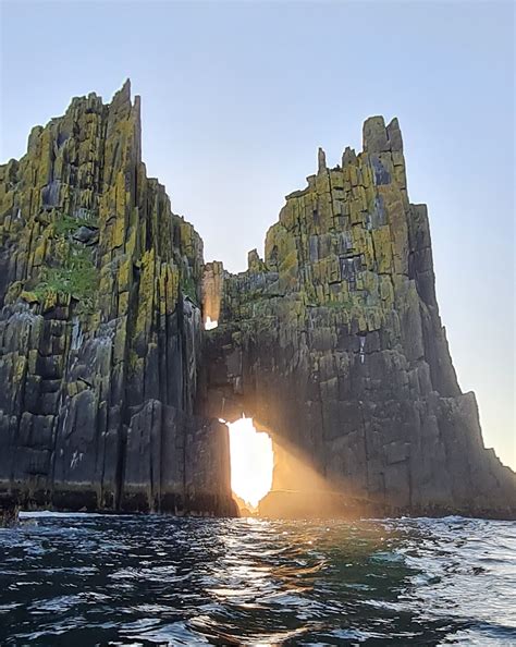 Blasket Sea Life Tours - Explore Ireland's Coastal Waters