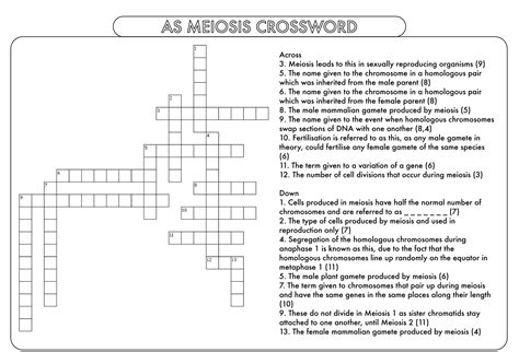 Huge crossword bundle covering the core topics on the first year of the ...