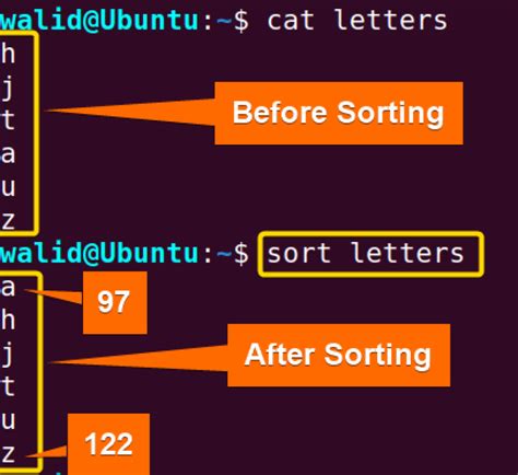 Sort Command Tutorial 的图像结果