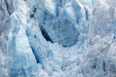 Flowers of Antarctica | How Climate Change Is Bringing New Life