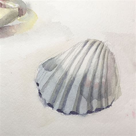 Watercolor Tutorial Seashell 的图像结果