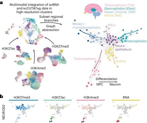 Brain Processing Unit 的图像结果