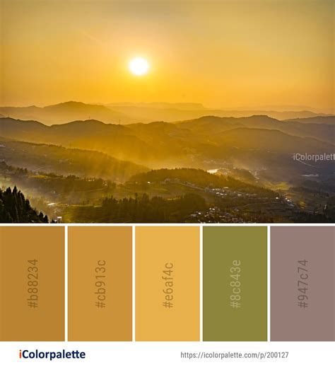 1137 Sunlight Color Palette Ideas