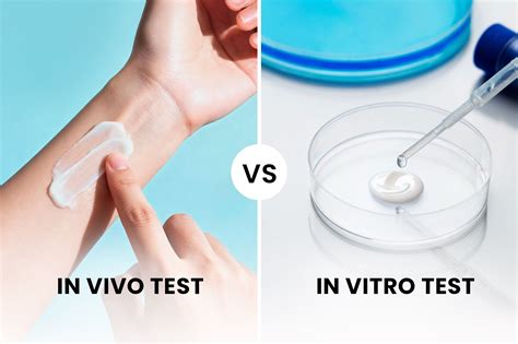 In Vivo vs In Vitro Sunscreen Testing Explained | SPF Truth