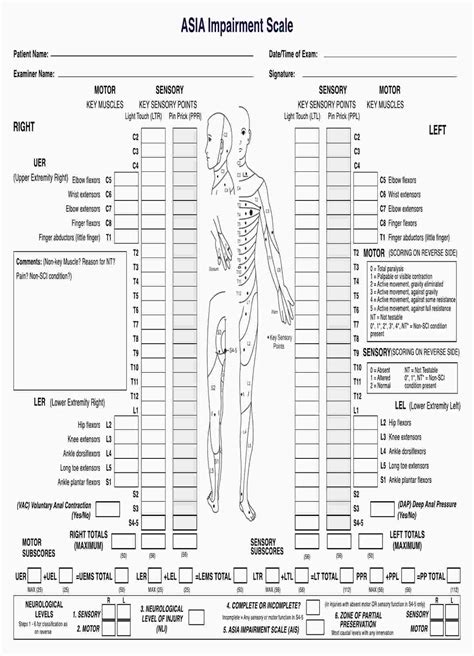 ASIA Impairment Scale