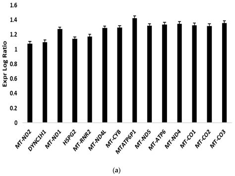 Mitochondrial Metabolism and EV Cargo of Endothelial Cells Is Affected ...