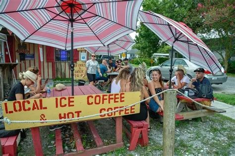 Swamp Tour 的图像结果