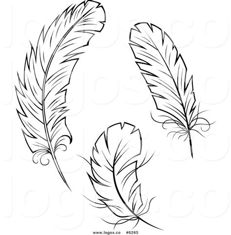 Feather clip art to download clipartcow – Clipartix