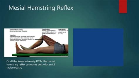 Medial Hamstring Reflex Test 的图像结果