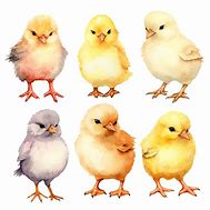 Image result for Bunny Chick Clip Art