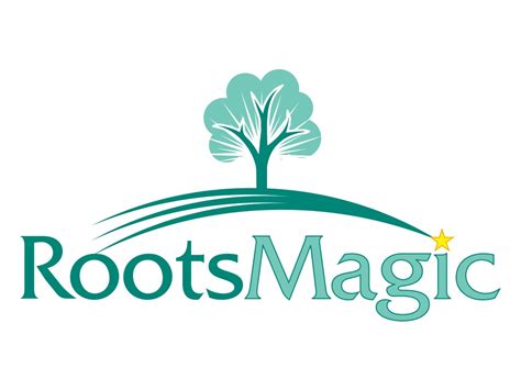 Image result for How to Use RootsMagic