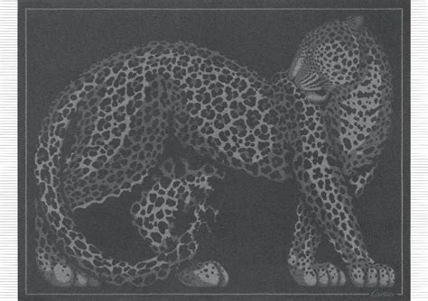 Panthère de Cartier blanket