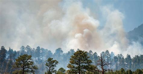Wildfire Map Spotlight: Greer Fire, Arizona