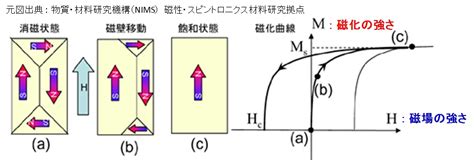 Introduction to Python Coding に対する画像結果