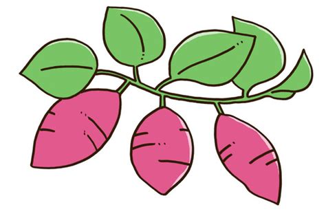 Make Connection in WebSocket JavaScript に対する画像結果