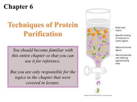 Image result for Basic Principles of Protein Purification