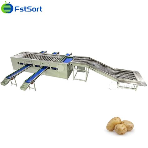 Image result for Potato Sorting Machine