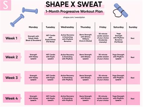 Image result for Daily Workout Routine for Beginners
