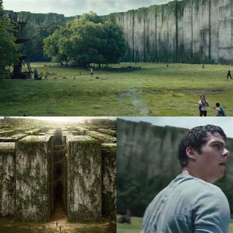 What Is The Glade In Maze Runner at Douglas Tijerina blog