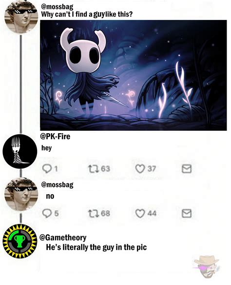 Hollow knight memes - salonserg