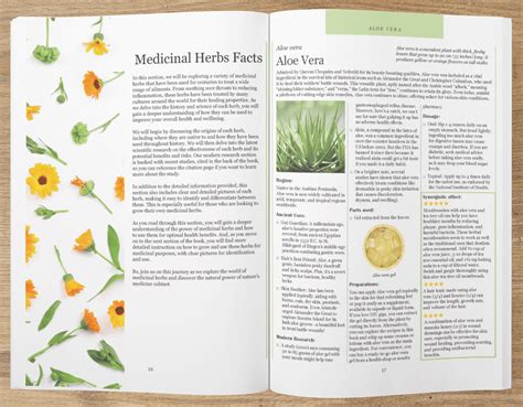 Ancient Remedies Revived