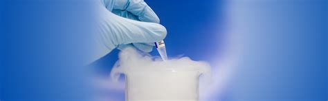 Oocyte Cryopreservation