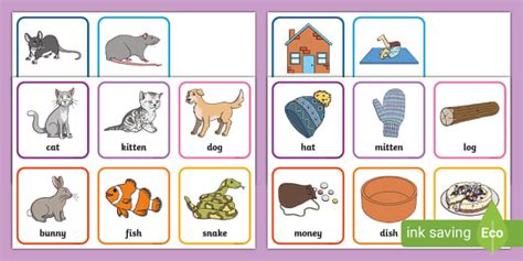 Pet Pairs Rhyming Cards (Hecho por educadores) - Twinkl