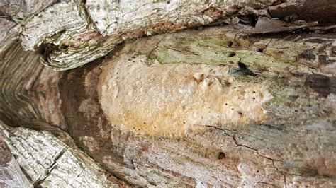 Landscape Message: July 28, 2017 : Center for Agriculture, Food, and ...