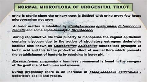 Normal flora of human body by Pranzly.pptx